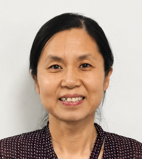 Dr Wenjing